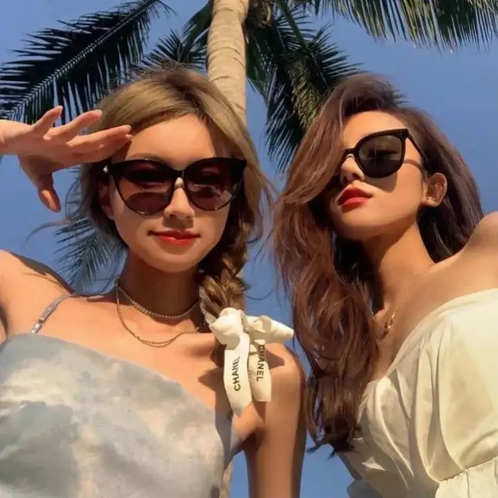 古惑仔情义篇之洪兴十三妹